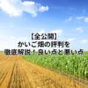 【全公開】かいご畑の評判を徹底解説！良い点と悪い点